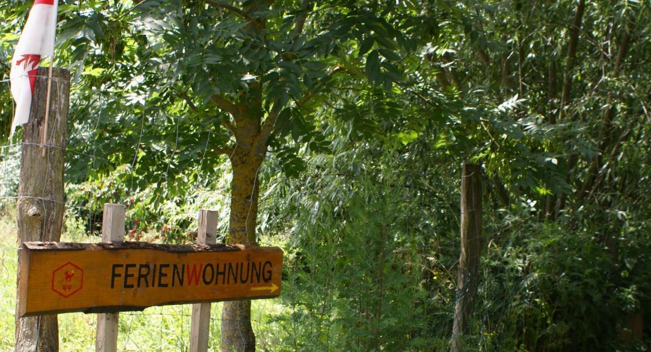 Ferienwohnung Fuchsberge Letschin エクステリア 写真