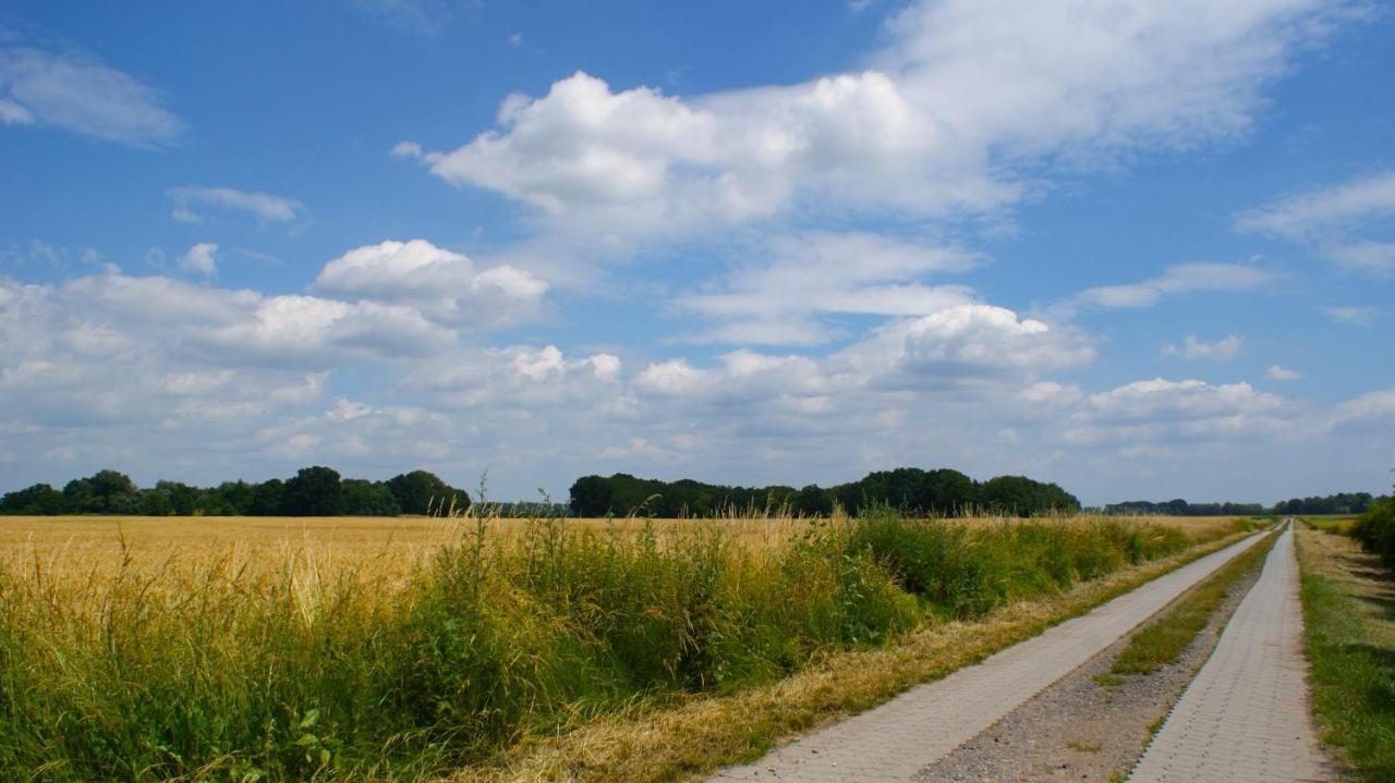 Ferienwohnung Fuchsberge Letschin エクステリア 写真