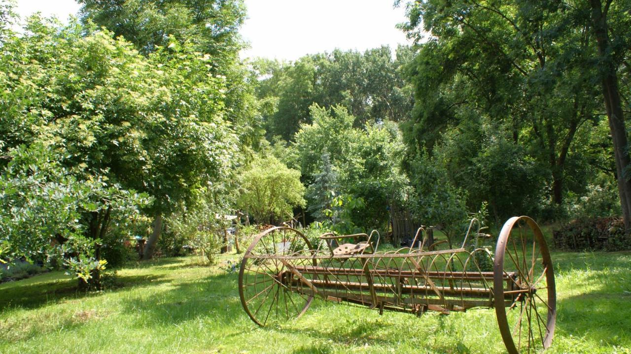 Ferienwohnung Fuchsberge Letschin エクステリア 写真